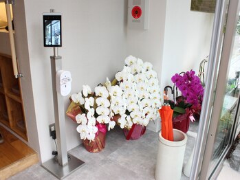 ポドウオーク(PODO WALK)/コロナ対策強化サロン★