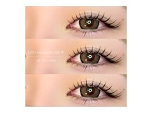 ルクール 喜多町店(Le Coeur)/