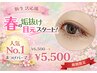 【新生活応援】春の垢抜け目元！人気No.1♪まつげパーマ ¥6,500→¥5,500