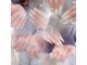 シアネイル すすきの店(SIA NAIL)の写真