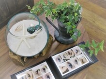 マドカリア(Madokaria)/初めての方に♪わかりやすい写真