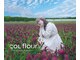 コルフロウ(COL flour)の写真