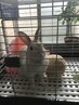 【女性限定】【9時から12時まで】もみほぐし30分1980円