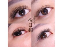 京都のまつげ 桜日和