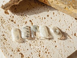 10月 monthly plus (三上)