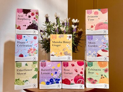 サンフラワー(SUNFLOWER)の写真