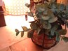 ～(お知らせ)～　平日のお得情報　～(お知らせ)～