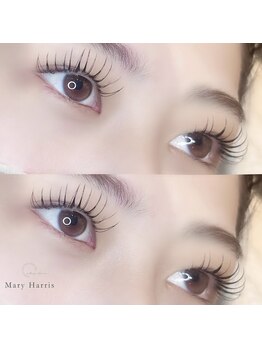 メアリーハリス 姪浜(Mary Harris)/フラットラッシュ×まつ毛パーマ