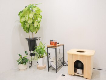 サロン ディシス(salon disis)/オリジナルヒノキ椅子