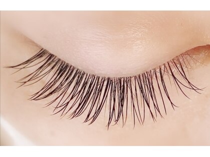 シエル(Ciel)の写真