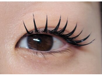 ラシック(Lachic)/バインドロック140束