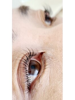 コア(Koa)/ぱっちりしたお目元に