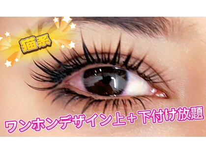 アオイ アイラッシュ 大久保店の写真