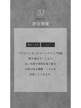 ゴーマルイチ(501)/