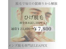 リーペックス(LEAPEX)