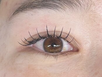 バタフライ 武蔵小杉店(Butterfly)/★LEDフラットラッシュ100本★