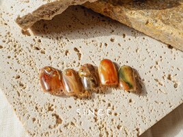 10月 monthly plus (美央)