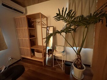 リノ(Lino)/内観