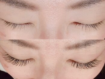 ラロリ(Laloli)/《フラットラッシュ》140本