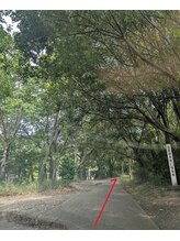 スイ(sui)/道順　7