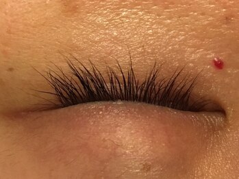 ボニータ(Bonita)/ラッシュアディクト