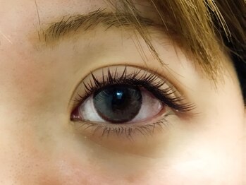 シュシュ(chou chou)/フラットブラウン220本