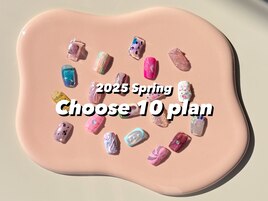 Hand Choose 10 plan