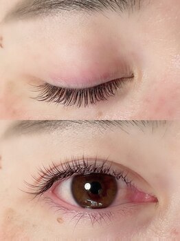 デイジー(DAY'S EYE)/シングルエクステ