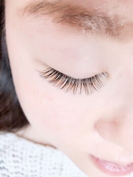 フェリーチェ(Felice)/カラーエクステ Color