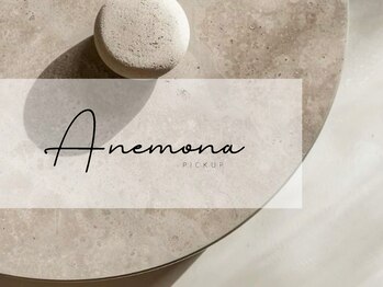 アネモナ(ANEMONA)/pick up