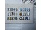 ネクシア(nexia)の写真