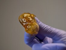 フォクシーワックス 立川店(FOXY WAX)/初上陸【シュガーリング脱毛】