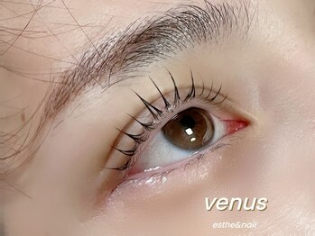 ヴィーナス 船橋駅前店(VENUS)/リフティングカール