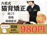 ★健康イベントフェア★肩こり・眼精疲労に【猫背矯正】8,000円→980円