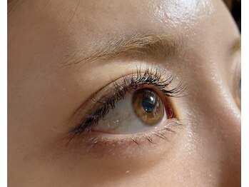 テナン(Tenang)/高級セーブル100本5500円