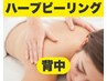 【背中/ハーブピーリング】ニキビケア/ざらつき/乾燥/むくみに◎通常22000円
