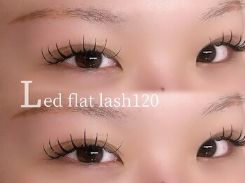 トラスト(Trust)/LEDフラットラッシュ120本☆