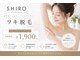シロ つくば(SHIRO)の写真