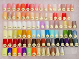 ワンカラー￥4500