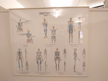 肩こり腰痛センター お茶の水/筋膜リリース