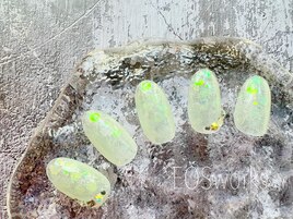 定額Bサンプル