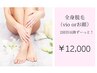 【全身脱毛】顔またはVIO 都度払い