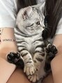 ピーボックス 南浦和(P-BOX) 可愛い猫ちゃん飼ってます!