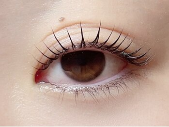 髪化粧アイラッシュ(髪化粧eyelash)の写真/自然でナチュラルから根元が立ち上がったぱっちり華やかな仕上がりの目元まで★幅広いデザインを実現◎