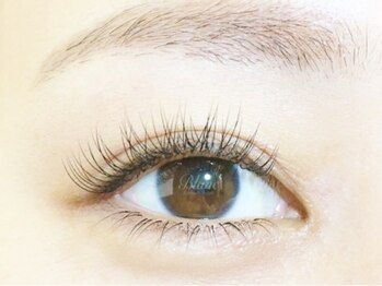 アイラッシュサロン ブラン なゆた浜北店(Eyelash Salon Blanc)/《 シングルエクステ 》