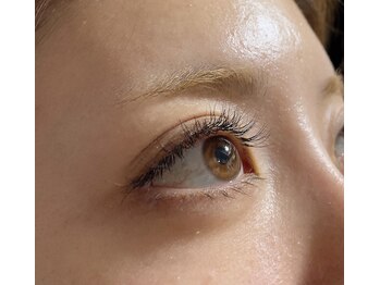 テナン(Tenang)/高級セーブル100本5500円