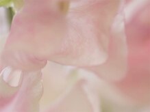 シーエヌ(C/N)/4月定額デザイン/ご新規6900～