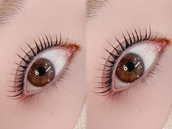 チュリップサカエ(Tulipe sakae)/マスカラパーマ/ティント/まつぱ