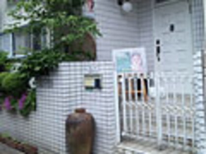 オリーブの木の写真