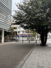 あしのひ/経路2